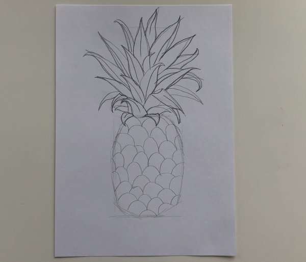 Как нарисовать ананас карандашом поэтапно для начинающих детей 5-6