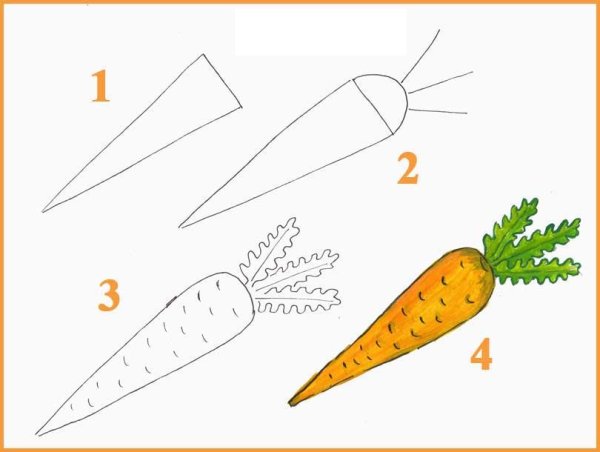 Морковь раскраска
