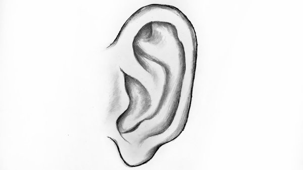 Рисунок уха карандашом для детей