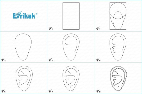 Рисовка ушей