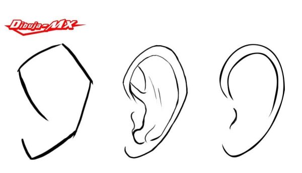 Ухо упрощенное