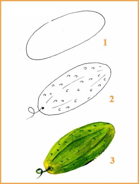 Пошаговое рисование овощей