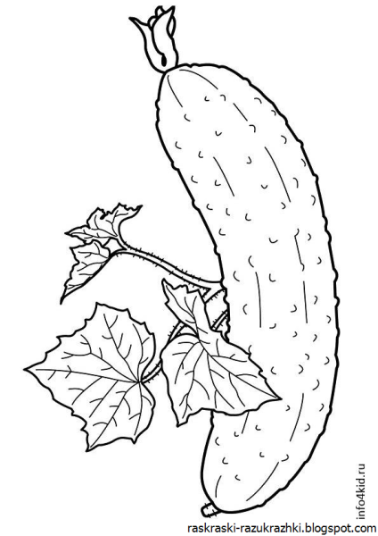 Огурец раскраска для детей