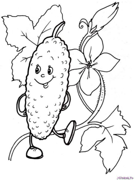 Огурцы в банке раскраска для детей