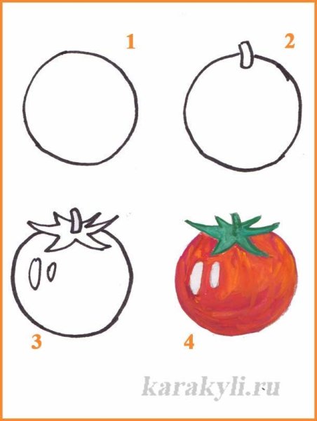 Поэтапное рисование овощей