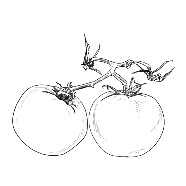 Помидор трафарет