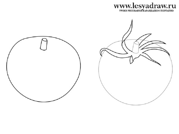 Поэтапное рисование овощей