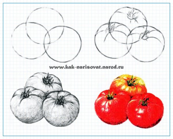 Рисунок помидора для раскрашивания