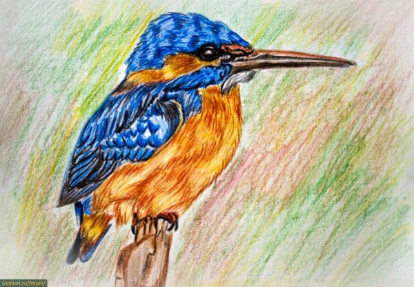 Рисунки цветными карандашами