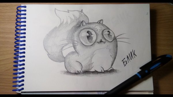 Раскраска кот Басик