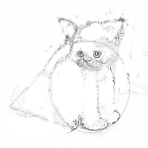 Нарисовать панду карандашом