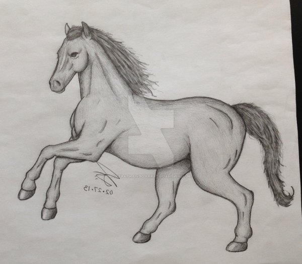 Лошадь рисунок