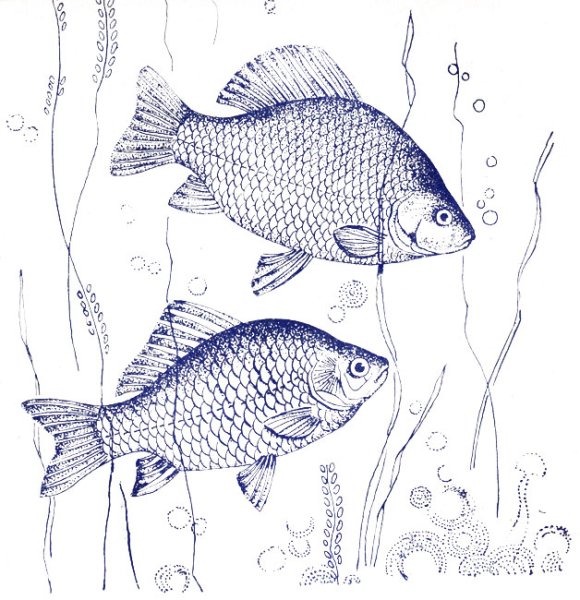 Карась для выжигания