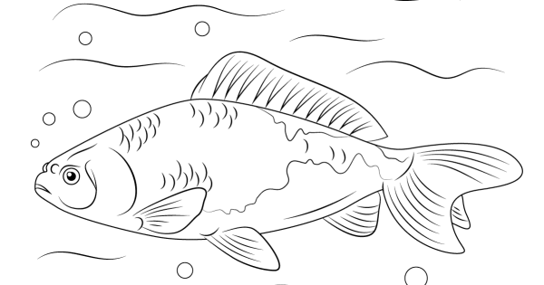 Ареал леща обыкновенного