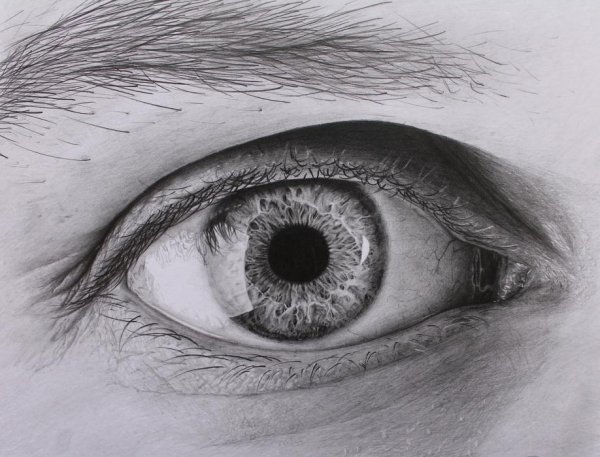 Человеческий глаз карандашом