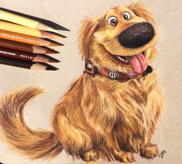 Прикольные животные цветными карандашами