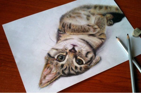 3d рисунки цветными карандашами