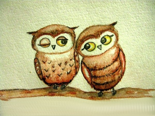 Рисунки для срисовки Совушки