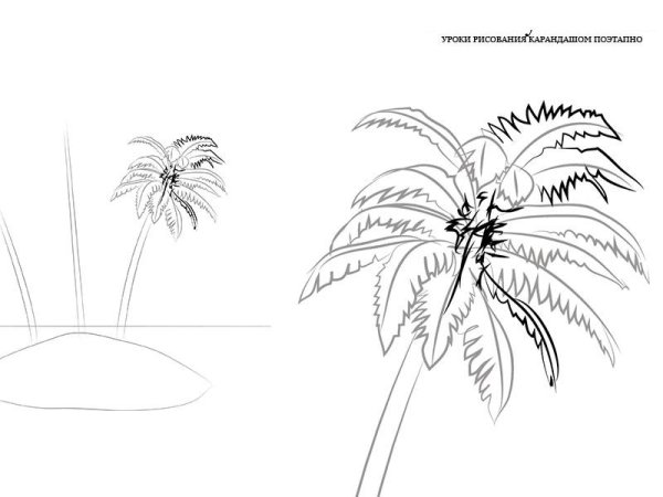 Пальма карандашный рисунок