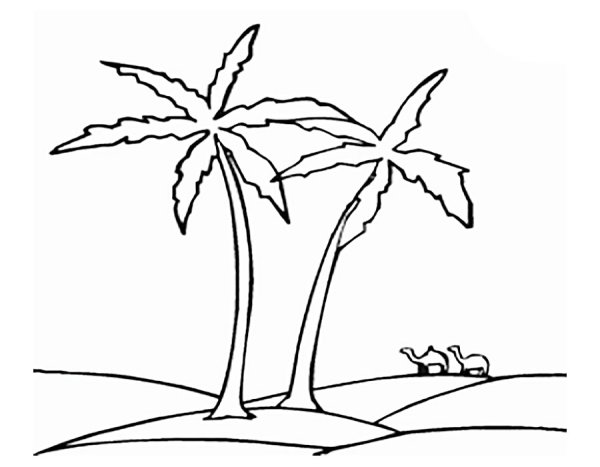 Рисунок пальмы для срисовки