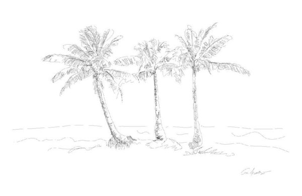 Раскраска три пальмы Лермонтов