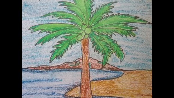 Эскиз Пальма с кокосами