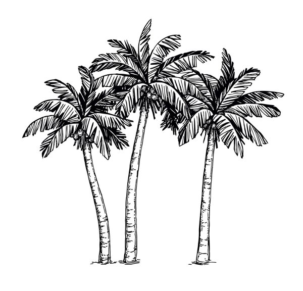 Остров раскраска