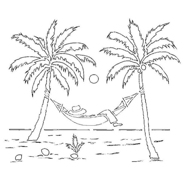 Море пальмы раскраска для детей