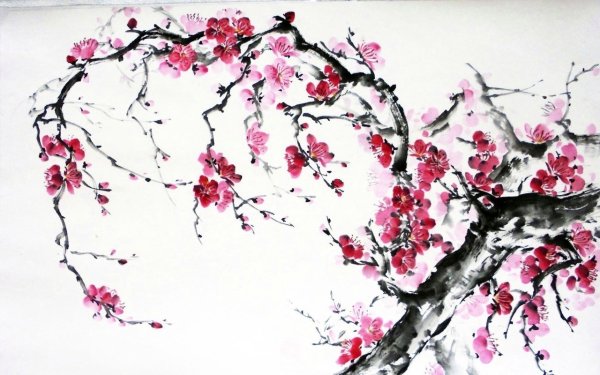 Дерево Сакура карандашом