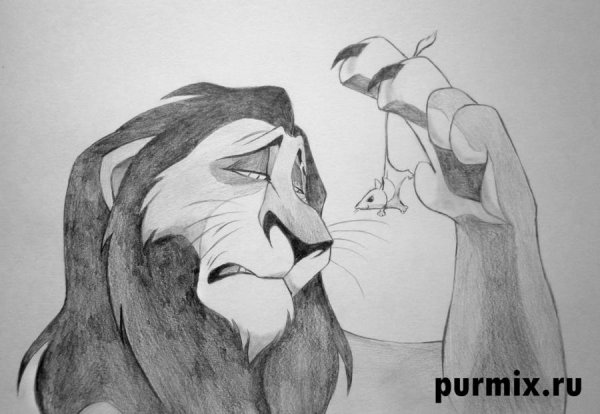 Срисовать Король Лев Ширам