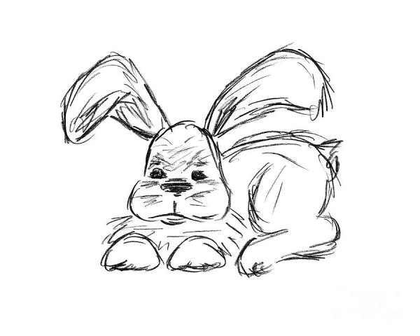 Нарисовать кролика