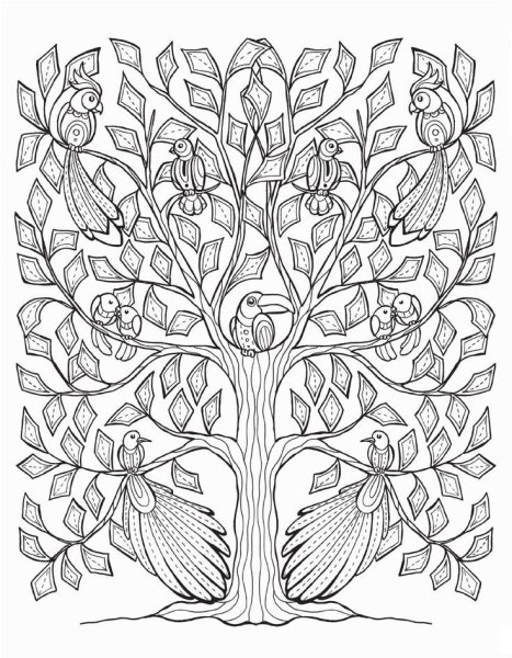 Генеалогическое Древо раскраска