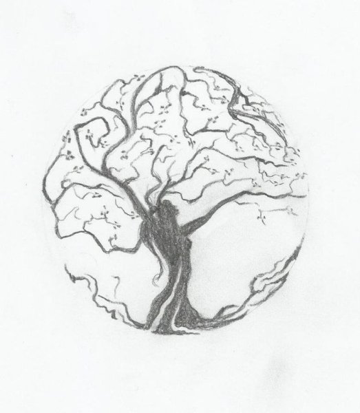 Генеалогическое дерево набросок