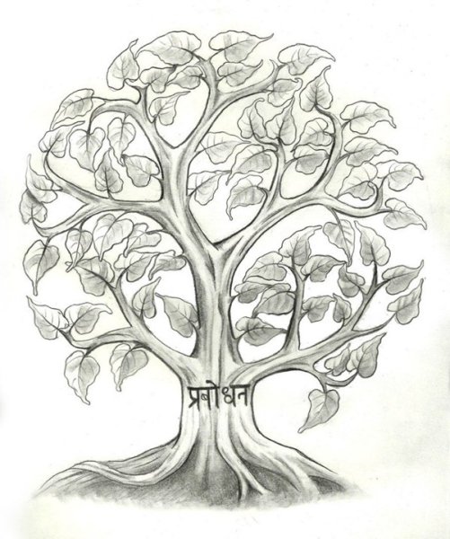 Дерево тату эскиз