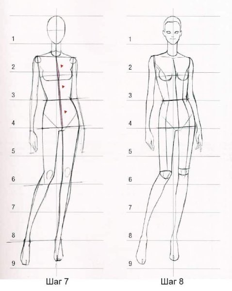 Анатомия женского тела для художников