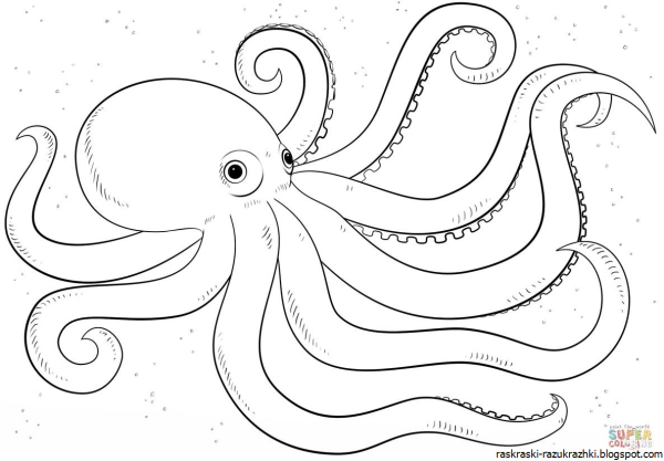 Осьминог поэтапное рисование