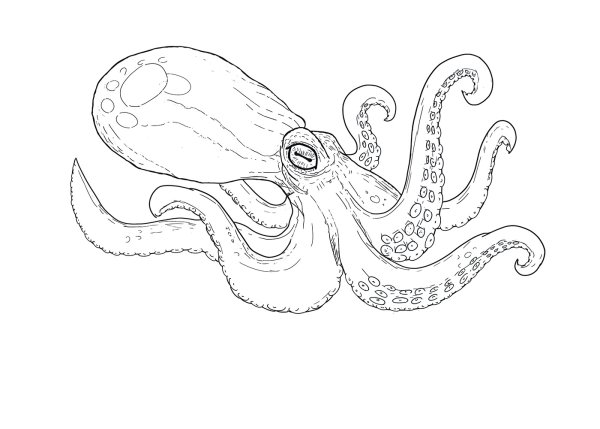 Осьминог карандашом