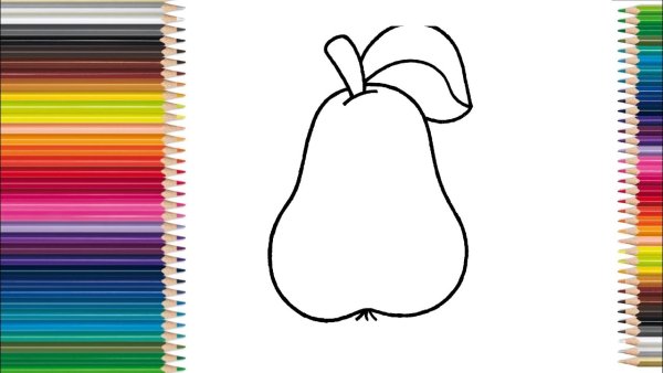 Дерево слива раскраска