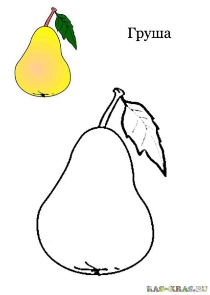 Груша раскраска