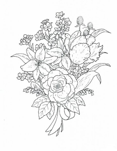 Раскраска незабудки в вазе