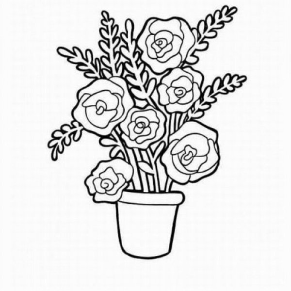 Роза в горшке раскраска