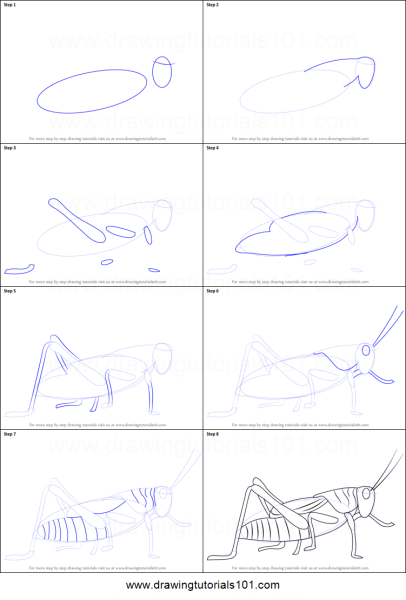 Кузнечик черно белый