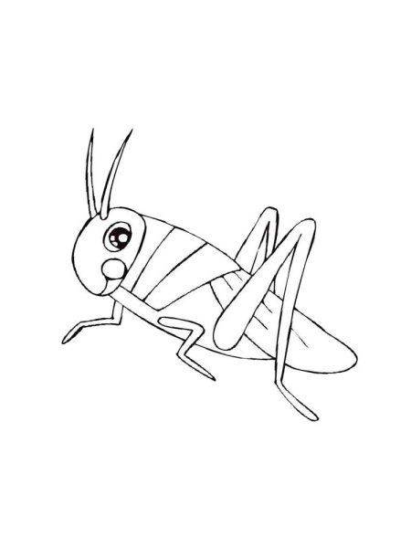 Насекомые раскраски кузнечик Саранча