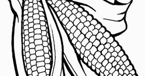Кукуруза нарисованная от руки