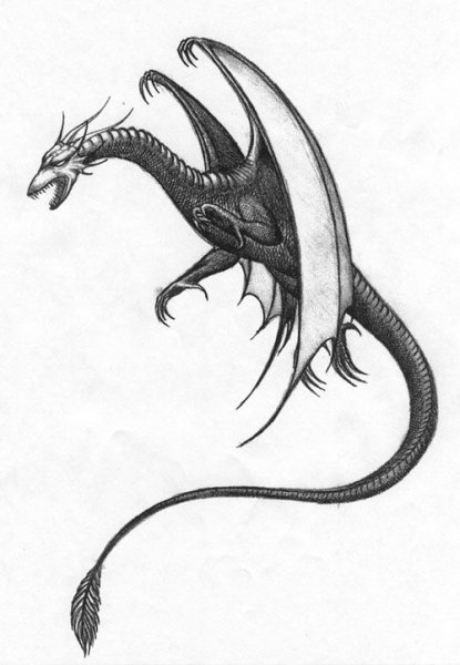 Эскиз черный дракон карандашом для срисовки