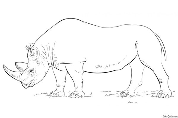 Тату носорог