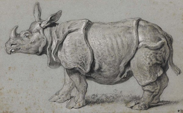 Конструктивное построение животных