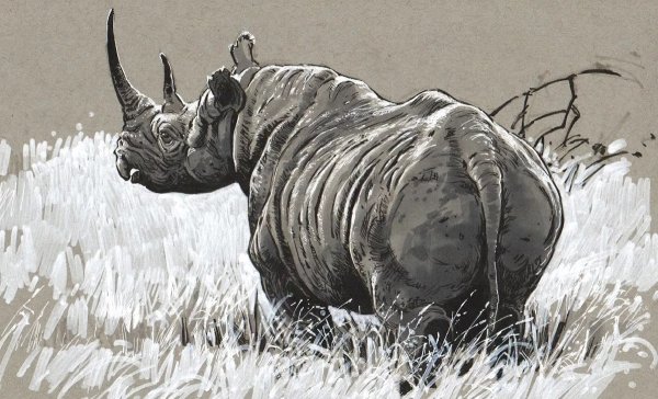Носорог для рисования