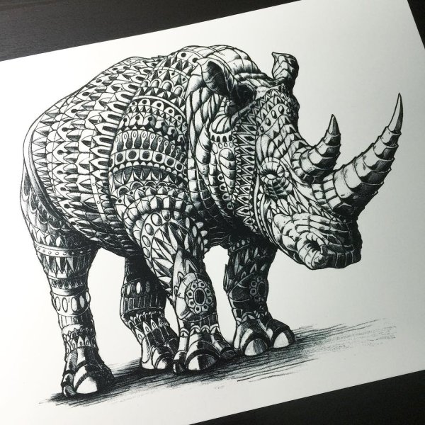 Тату носорог эскизы