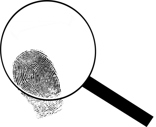 Детектив с лупой